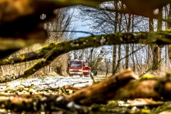 Sturmbaum100220_Kollinger-1-2