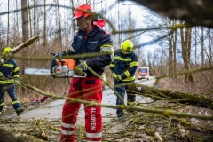 Sturmbaum100220_Kollinger-3