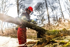 Sturmbaum100220_Kollinger-6