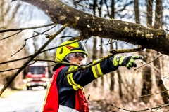 Sturmbaum100220_Kollinger-8