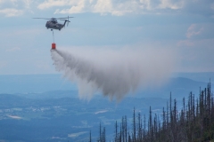 3Laender_Waldbranduebung2017_Kollinger-138
