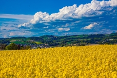 Egge_Rosenhuegel_210414-144
