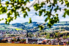 Egge_Rosenhuegel_210414-155