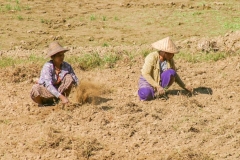 1_Myanmar2002_165