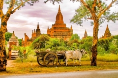 Myanmar2002_275