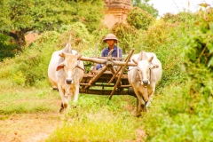 Myanmar2002_278