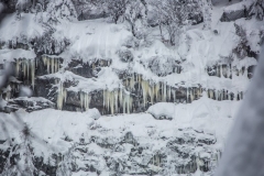 SchneeRosenau120119_Kollinger-45 SchneeRosenau120119_Kollinger-45