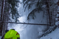 SchneeRosenau130119_Kollinger-13 SchneeRosenau130119_Kollinger-13