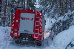 SchneeRosenau130119_Kollinger-16 SchneeRosenau130119_Kollinger-16