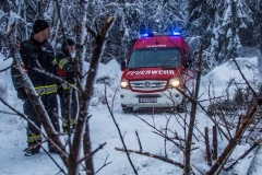 SchneeRosenau130119_Kollinger-19 SchneeRosenau130119_Kollinger-19