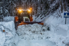 SchneeRosenau130119_Kollinger-24 SchneeRosenau130119_Kollinger-24