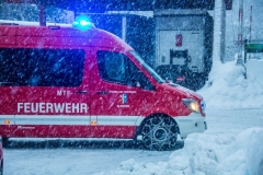 SchneeRosenau130119_Kollinger-3 SchneeRosenau130119_Kollinger-3