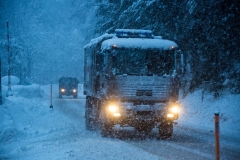 SchneeRosenau130119_Kollinger-4 SchneeRosenau130119_Kollinger-4