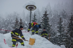 SchneeRosenau130119_Kollinger-49 SchneeRosenau130119_Kollinger-49