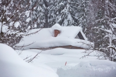 SchneeRosenau130119_Kollinger-55