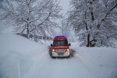 SchneeRosenau130119_Kollinger-59 SchneeRosenau130119_Kollinger-59