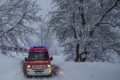 SchneeRosenau130119_Kollinger-60 SchneeRosenau130119_Kollinger-60