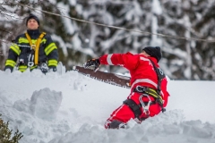 SchneeRosenau130119_Kollinger-82