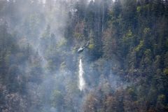 Waldbrand_Hallstatt220818_Kollinger-123