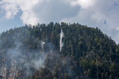 Waldbrand_Hallstatt220818_Kollinger-138 Waldbrand_Hallstatt220818_Kollinger-138