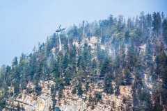 Waldbrand_Hallstatt220818_Kollinger-17