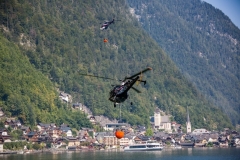 Waldbrand_Hallstatt220818_Kollinger-37