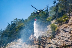 Waldbrand_Hallstatt220818_Kollinger-45