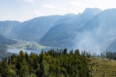 Waldbrand_Hallstatt220818_Kollinger-53