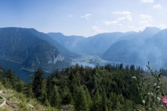 Waldbrand_Hallstatt220818_Kollinger-56