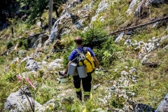 Waldbrand_Hallstatt220818_Kollinger-64