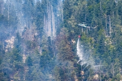 Waldbrand_Hallstatt220818_Kollinger-9