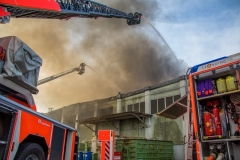 AbfallHoersching101019_Kollinger-93 AbfallHoersching101019_Kollinger-93