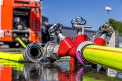 ULF_FFHart_2022_Kollinger-76