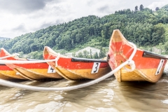 WLA_Niederanna_2022_Kollinger-20