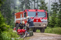 3Laender_Waldbranduebung2017_Kollinger-11