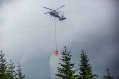3Laender_Waldbranduebung2017_Kollinger-70