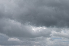 3Laender_Waldbranduebung2017_Kollinger-85