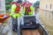 Hochwasser2013_315