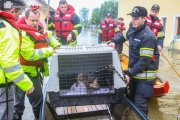 Hochwasser2013_317