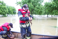 Hochwasser2013_087