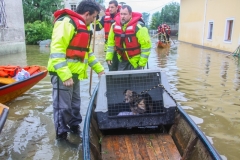 Hochwasser2013_315