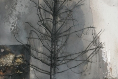 Weihnachten - Brandgefährliche Zeit