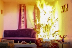 Wbrand2017_Kollinger-15