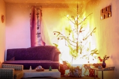 Wbrand2017_Kollinger-16