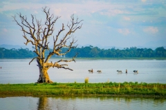 Myanmar2002_213 Myanmar2002_213