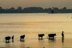 Myanmar2002_220 Myanmar2002_220