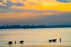 Myanmar2002_221 Myanmar2002_221