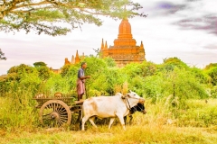 Myanmar2002_276 Myanmar2002_276