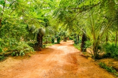 Myanmar2002_285 Myanmar2002_285