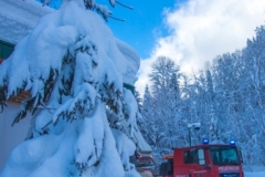 SchneeRosenau110119_Kollinger-40